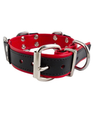 Mister B slave collar with 4 D-rings